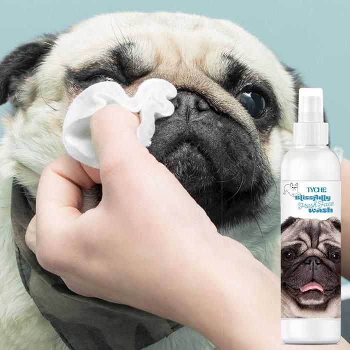 Tyche Blissfully Flat Facewash - For All dogs of all ages 100ML